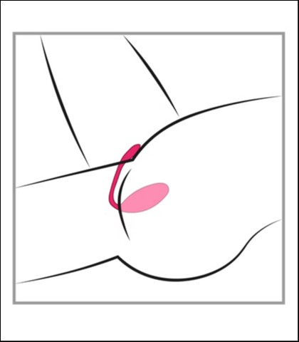 Lovense lush 3