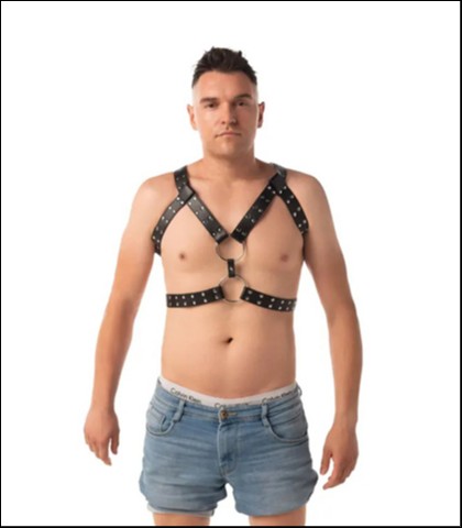 Muski seksi harness