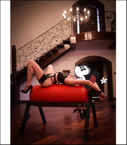 Bondage padded barrel horse