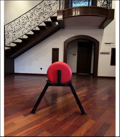 Bondage padded barrel horse